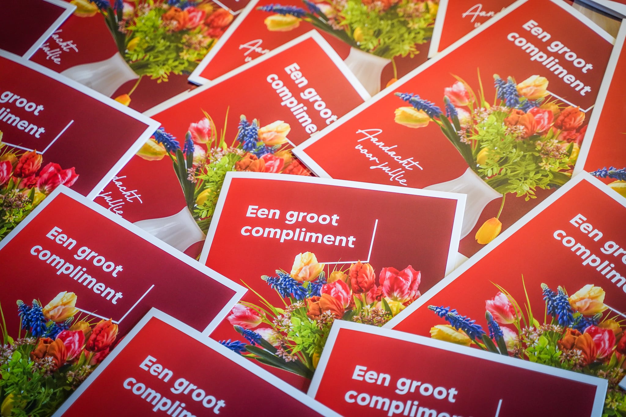 Dolmans Complimentendag